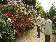 Park der Garten Bad Zwischenahn